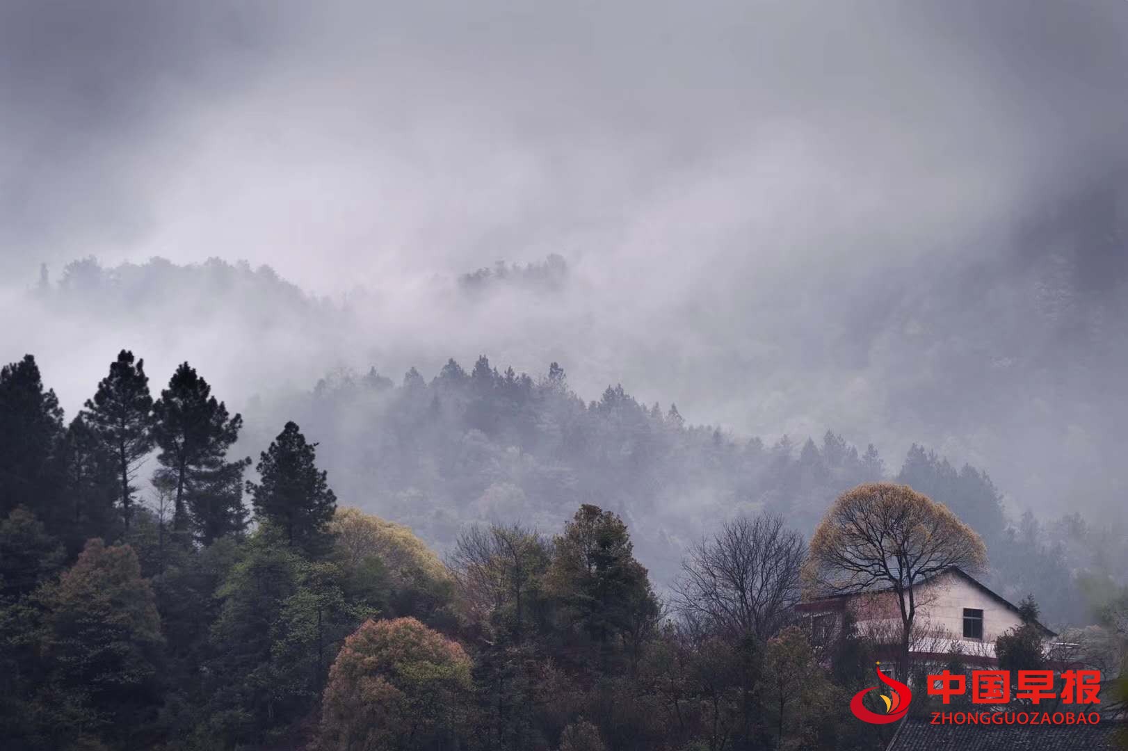 1600303529143950.jpg 1600303529143950.jpg