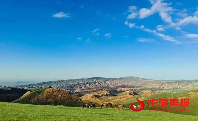 1604323881162003.jpg 11111.jpg