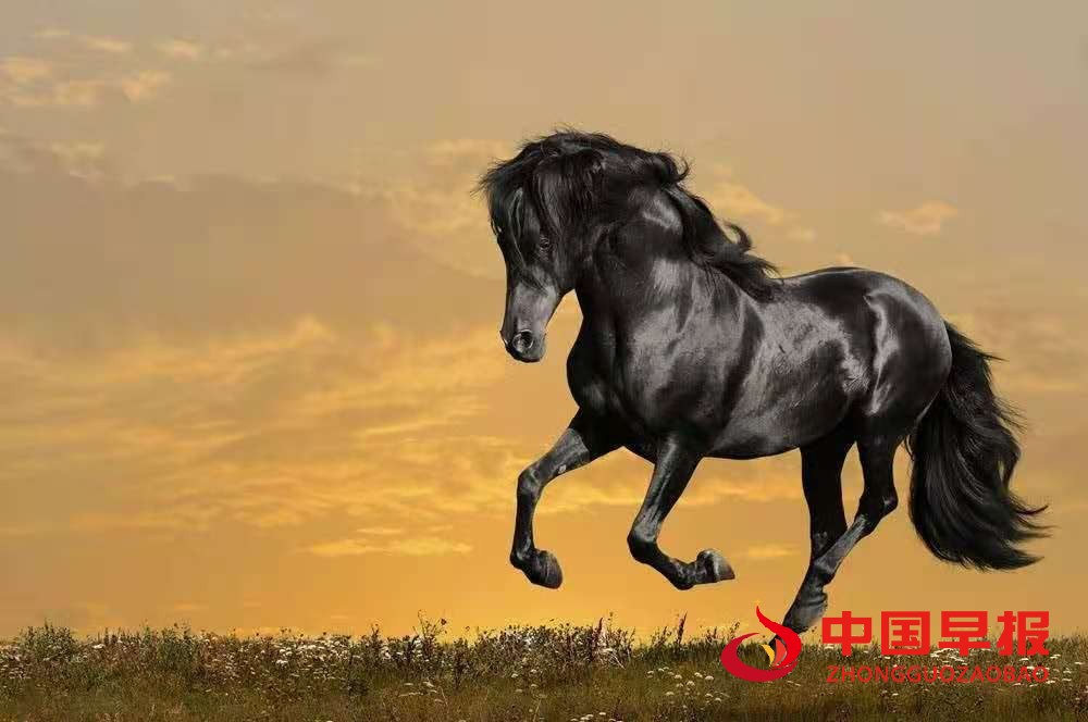 1605407818192232.jpg 微信图片_20201115103531.jpg