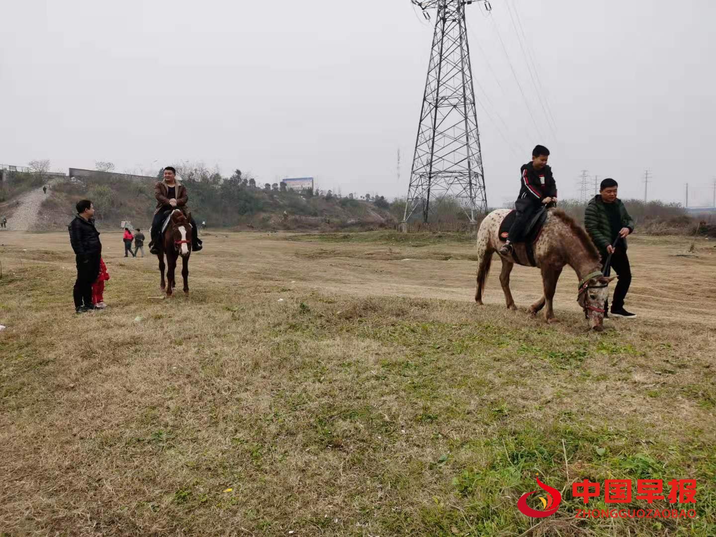 1609141768461055.jpg 1609141768461055.jpg