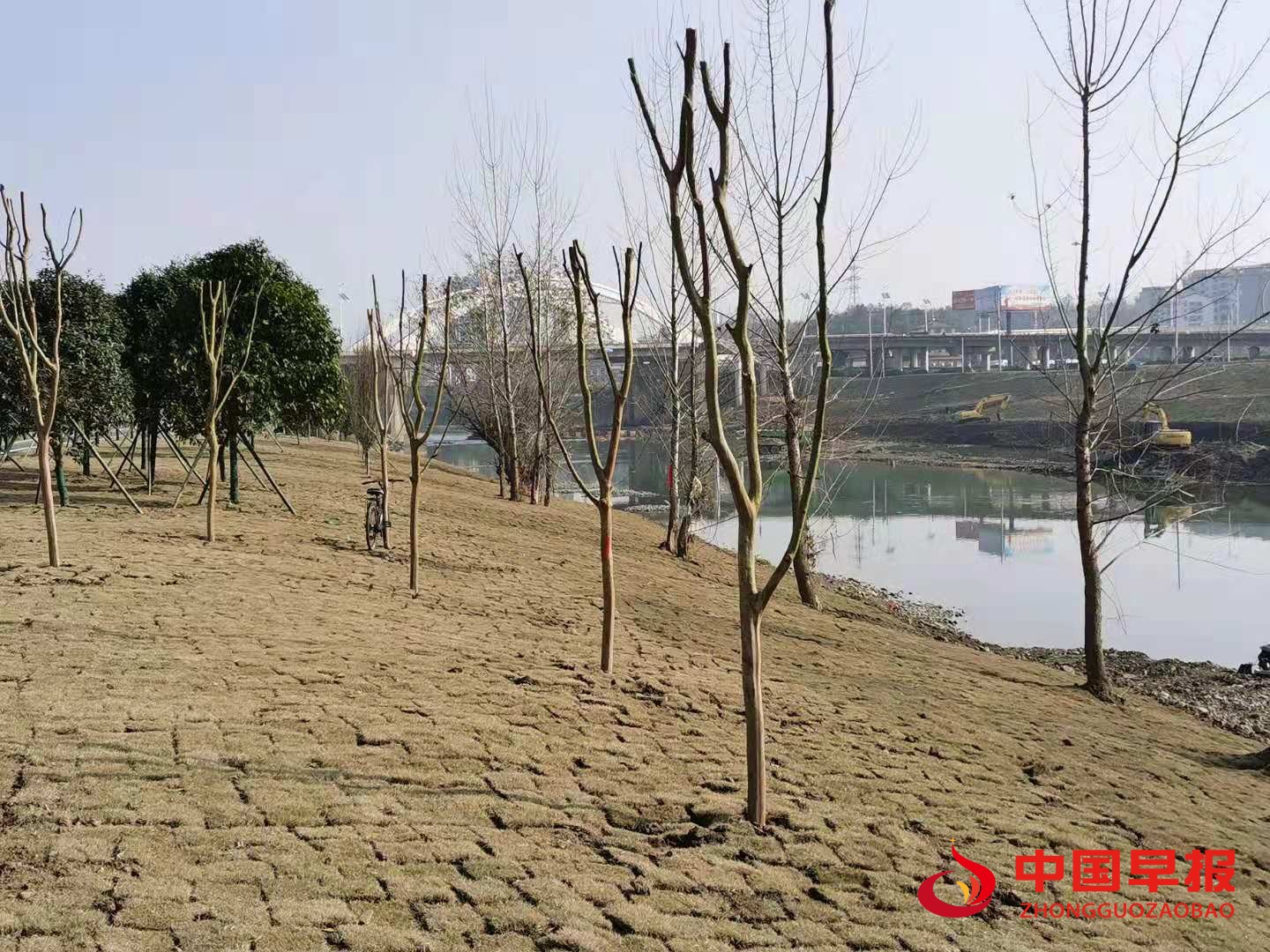 1610097463464777.jpg 1610097463464777.jpg