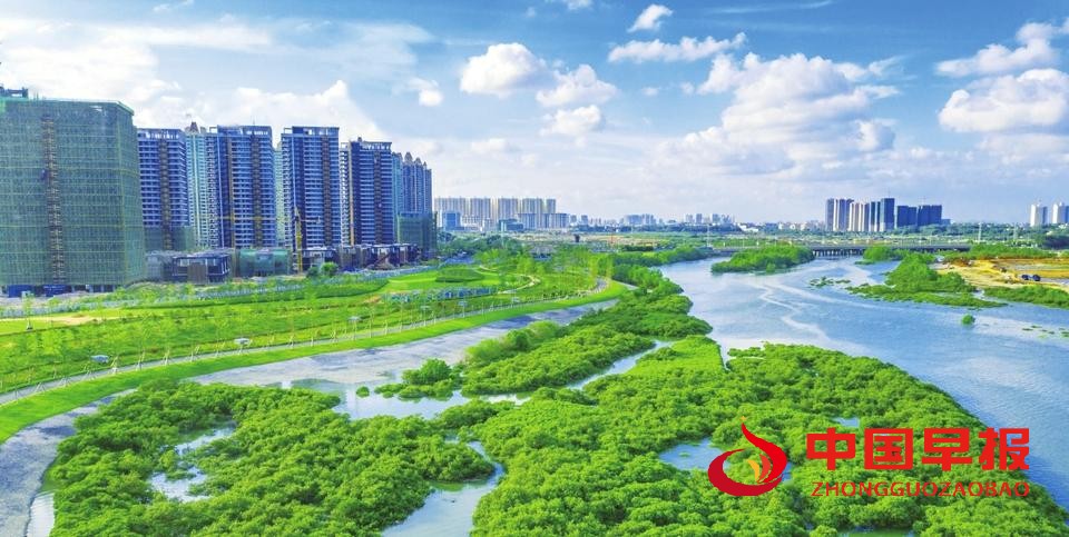 1610941385385510.jpg 图片09.jpg