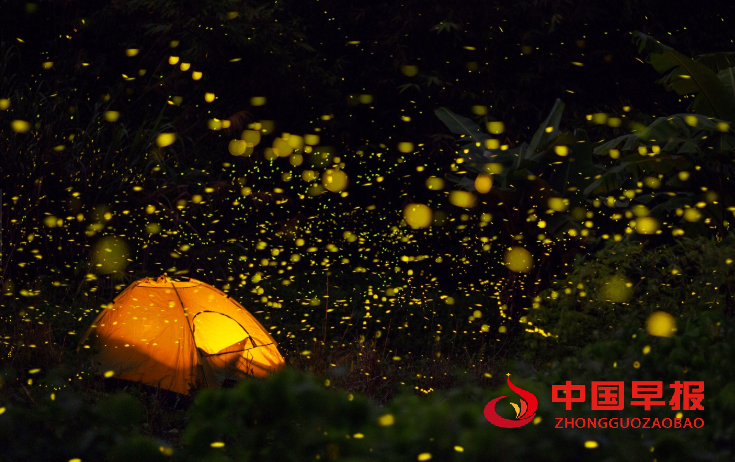 1616660639206386.png 1616660639206386.png