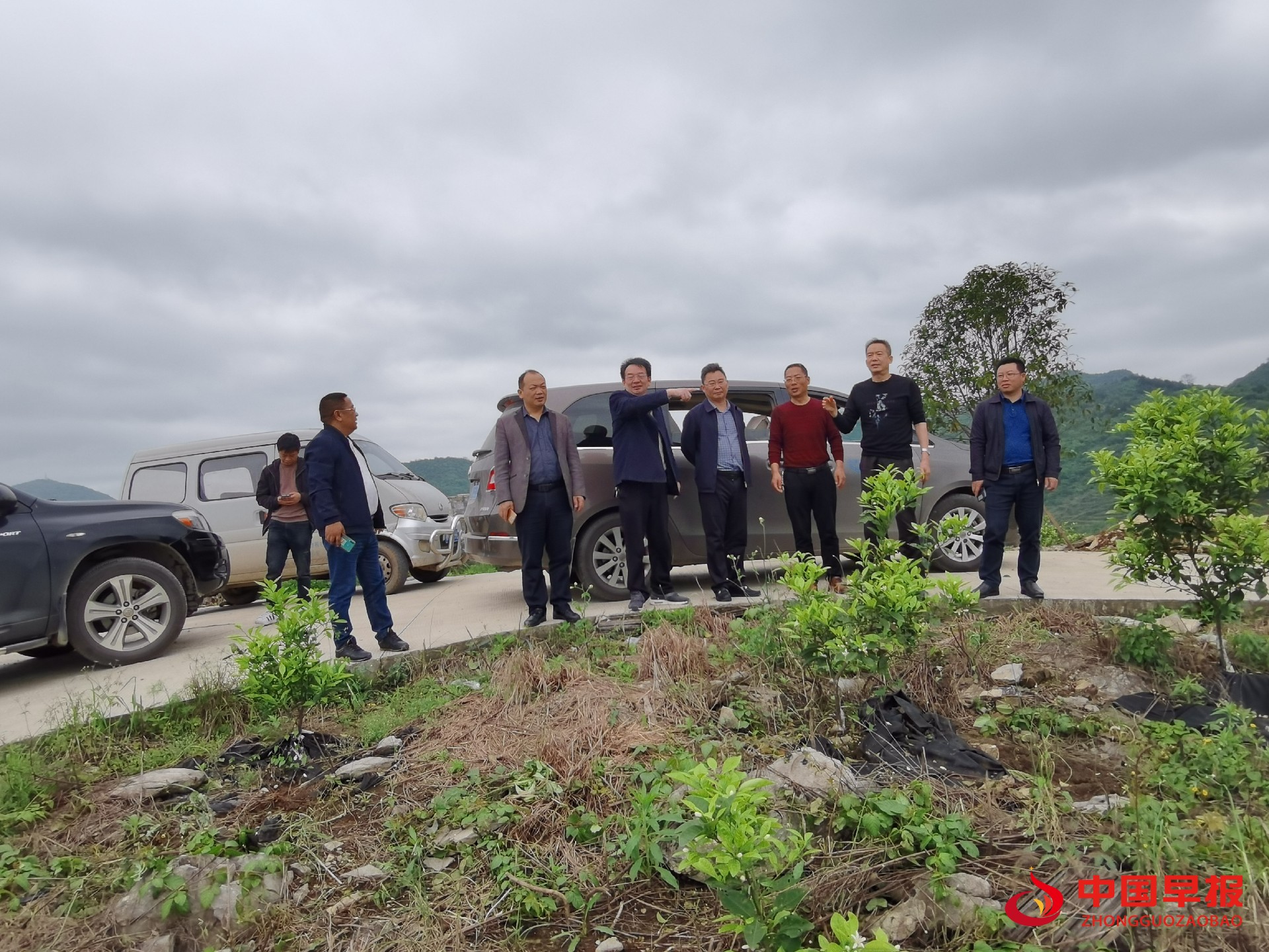 1619252154119282.jpg 1619252154119282.jpg