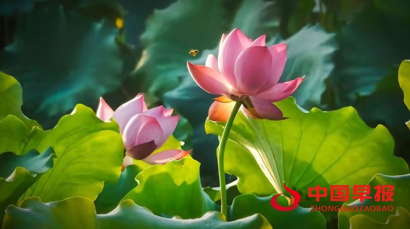 1626453738138112.jpg 微信图片_20210717004032.jpg