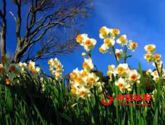 1626921791460367.png 微信图片_20210722104108.png