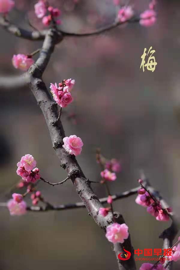 1629532588245832.jpg 15aa9957e4d473071c917ddea97a2fb.jpg