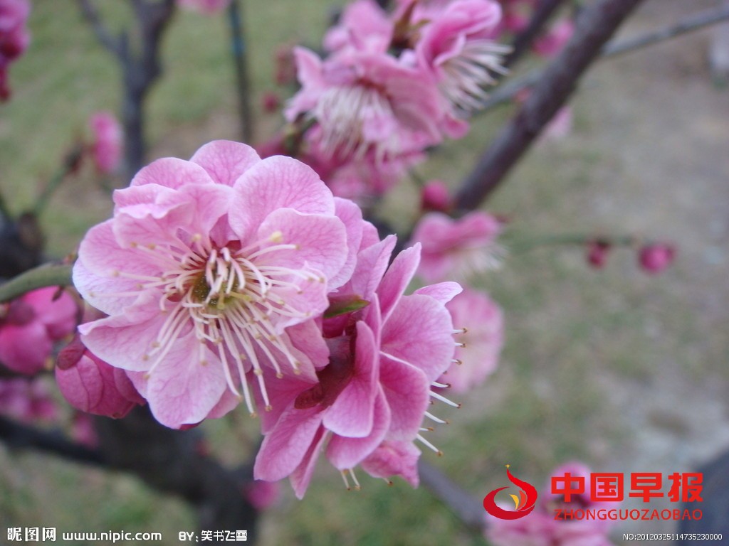 1629532665636256.jpg 9149797_114735230000_2.jpg