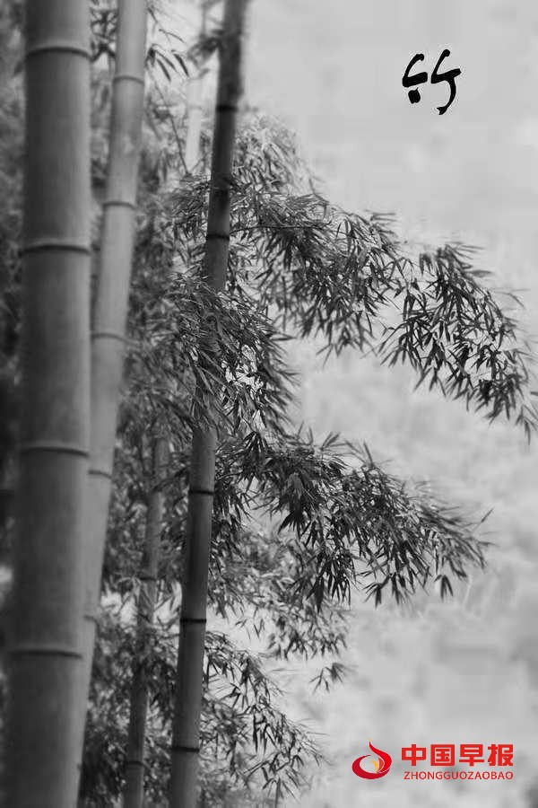 1629533304669248.jpg 2bdd99f22b780a98da4972cf79d6e1a.jpg