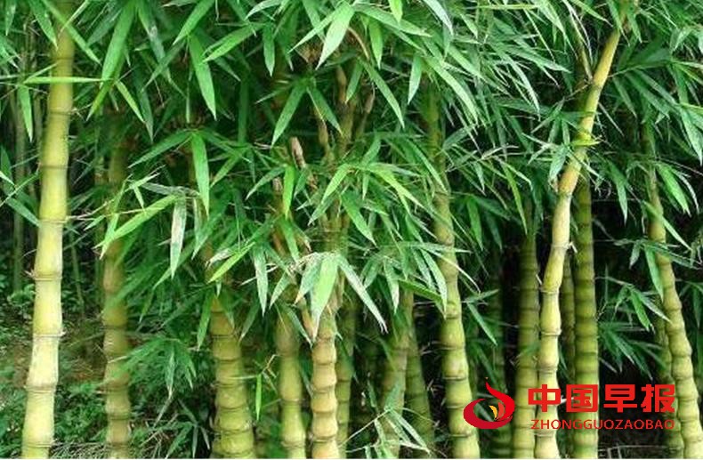 1629533454831984.jpg 3105541_201302031614110951.jpg