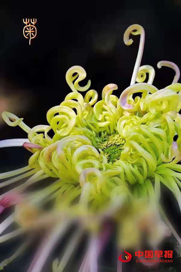 1629533616681607.jpg 48bc629bdbcd433ff8ac485417f2ab8.jpg