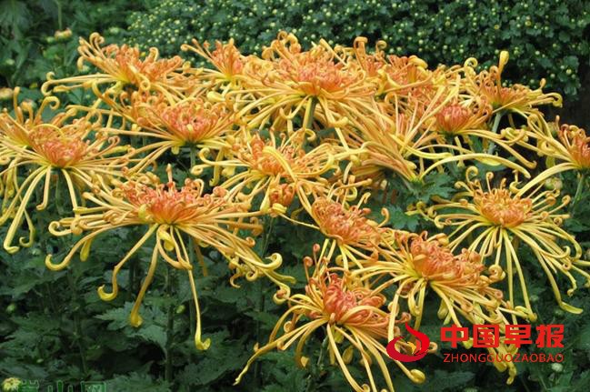 1629533805157916.jpg 3105541_201303131153350318.jpg