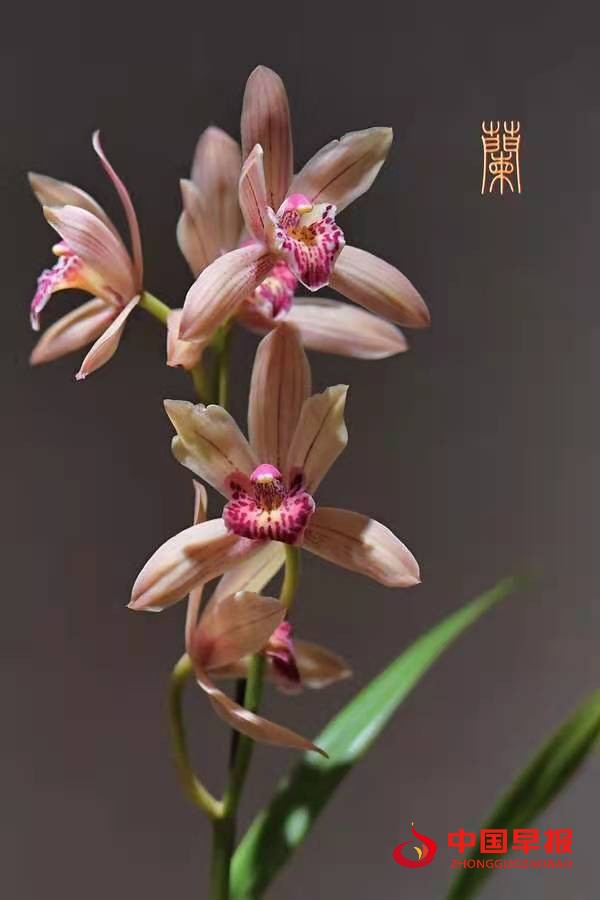 1629533884907484.jpg dc994f6cf9d6e5bc50458e11d7a053a.jpg