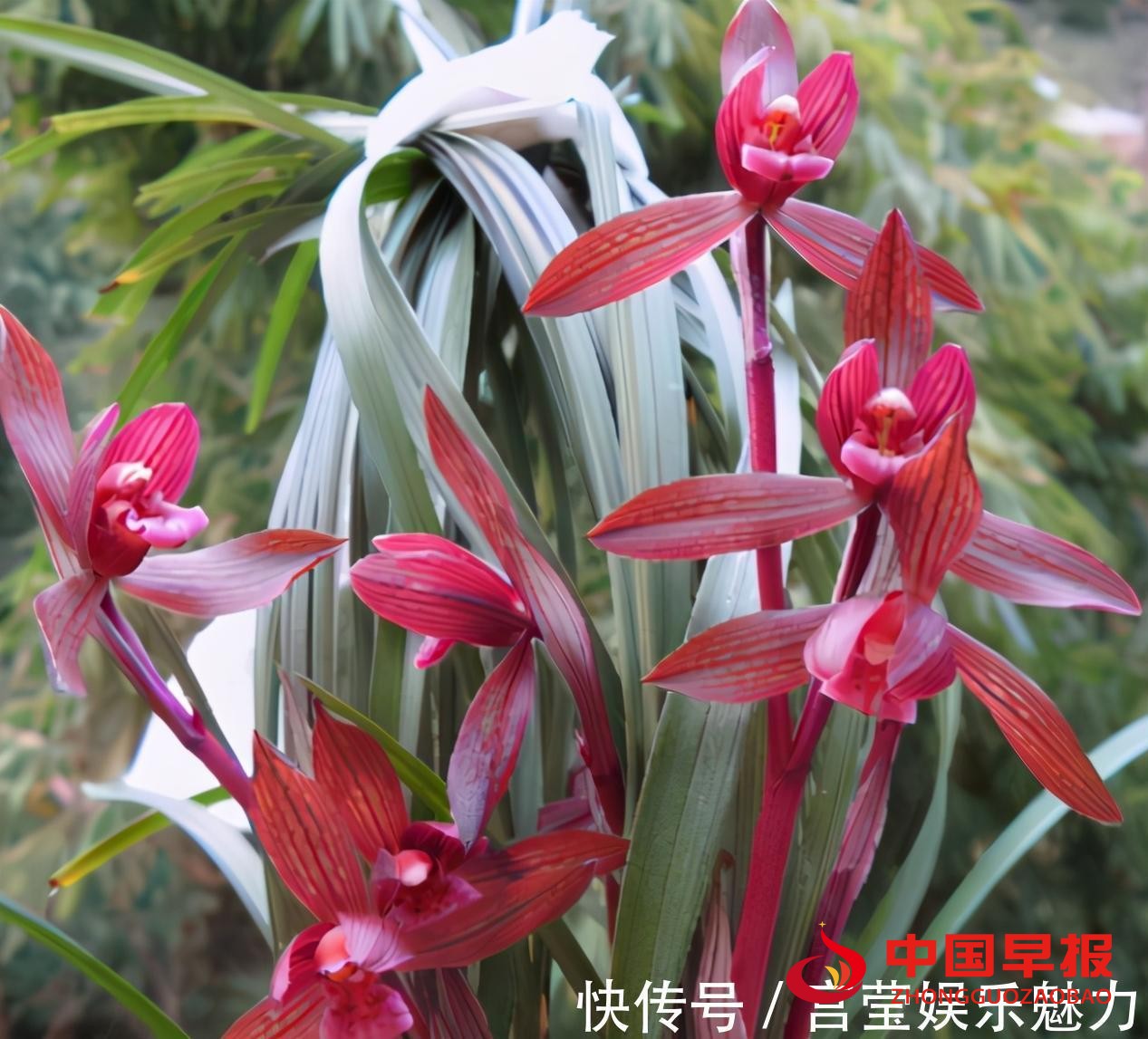 1629534061141939.jpg t0172ed91cbdeba5f7b.jpg