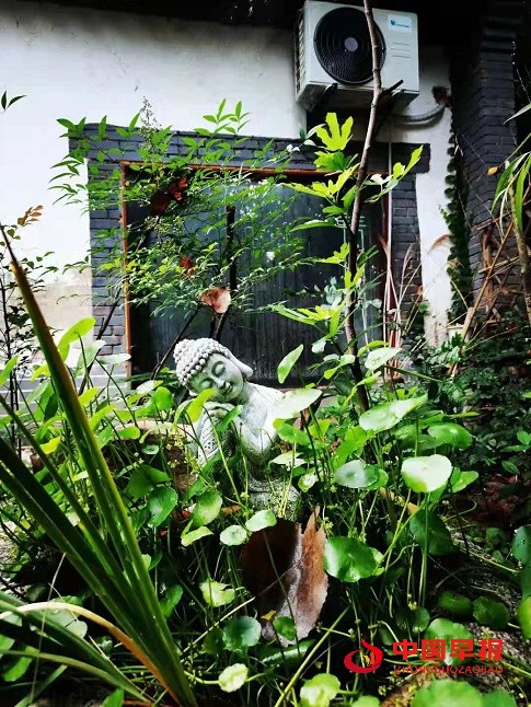 1629699264776018.jpg 1629699264776018.jpg