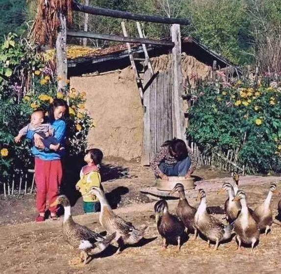 1629812486469313.jpeg wKgCEmEc0XWAflW8AAFEzFLU89U37.jpeg