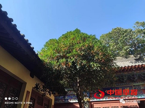 1631356006207662.jpg 微信图片_20210911181423.jpg