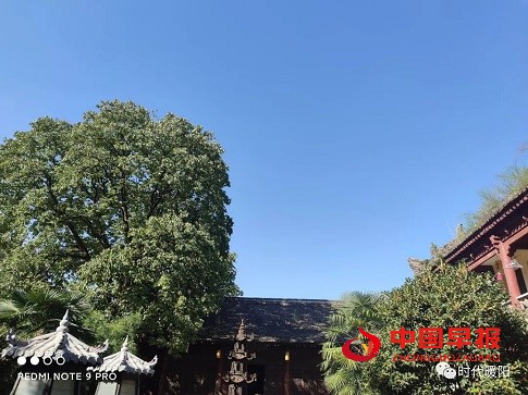 1631356048174900.jpg 微信图片_20210911181433.jpg