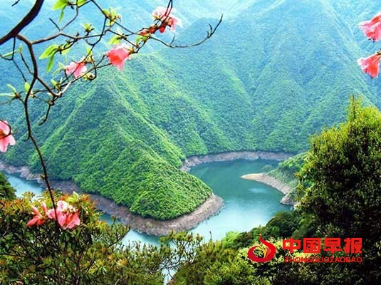 1631453924512796.jpg 555.jpg