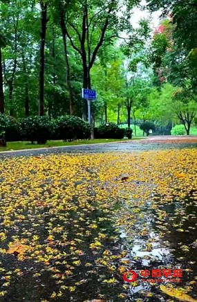 1632881774946219.jpg 微信图片_20210929101001.jpg