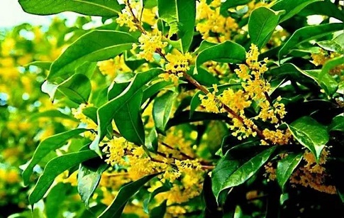 1633251344722859.jpeg 1633251344722859.jpeg