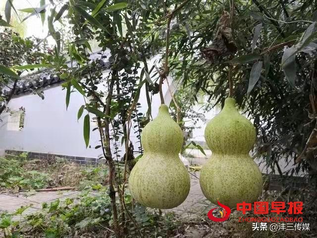 1633870055346985.jpg 1633870055346985.jpg