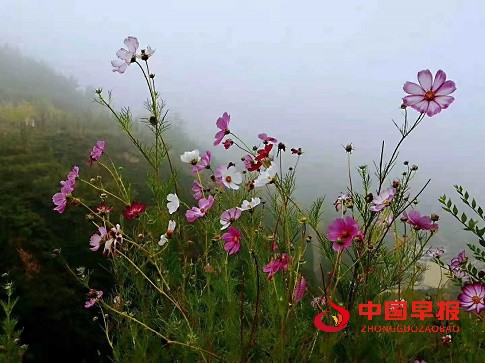 1634651221152298.jpg 微信图片_20211019204736.jpg