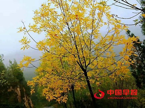 1634651318123626.jpg 微信图片_20211019204729.jpg