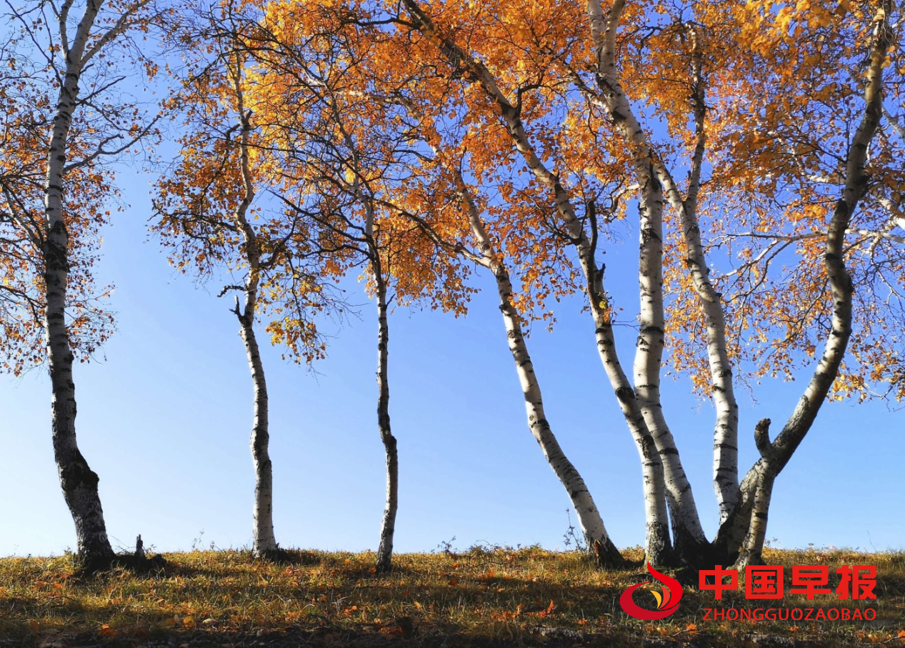 1634696414117698.png image.png