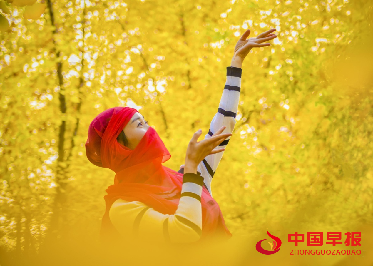 1634696774253259.png image.png