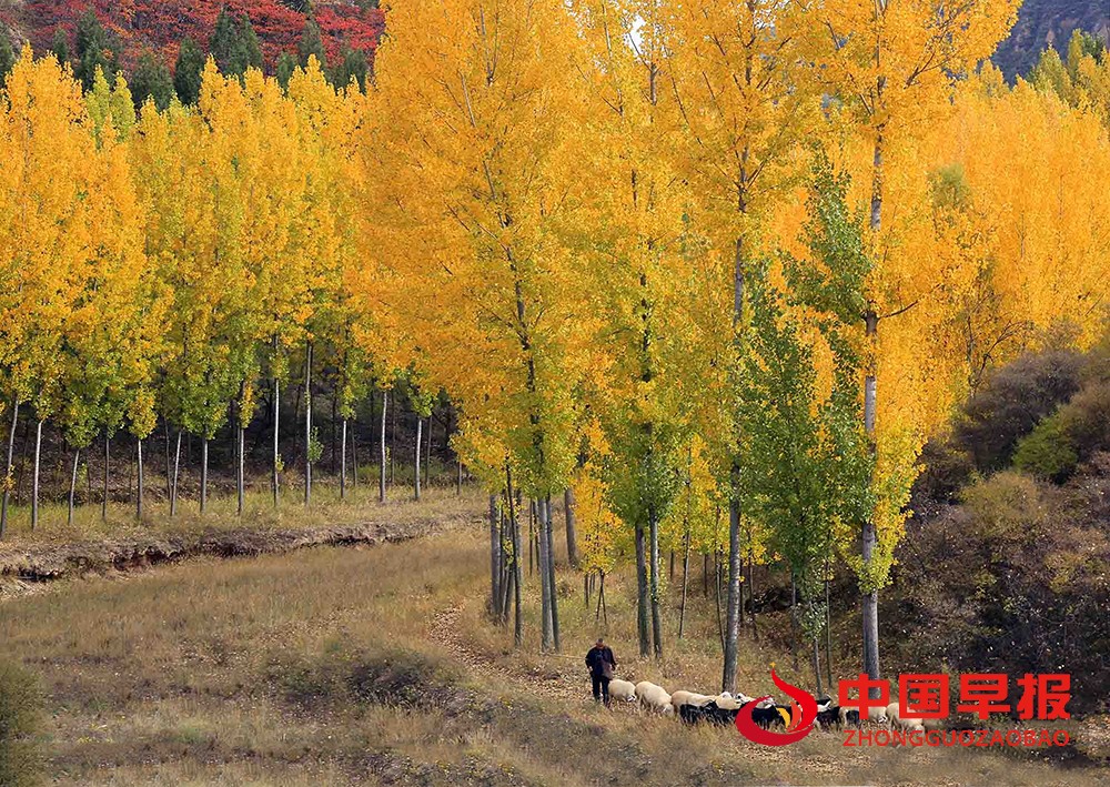 1635746827772058.jpg 1.jpg