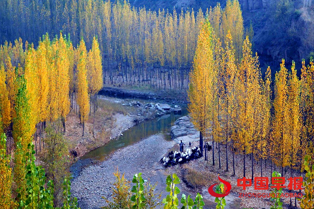 1635746852604139.jpg 11.jpg