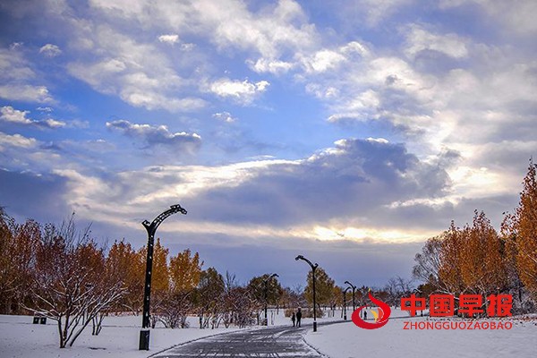 1636425253889489.jpg 5 (1).jpg