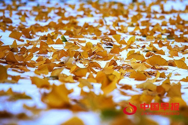 1636425477179582.jpg 5 (3).jpg