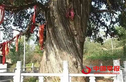 1641395383839121.jpg 1641395383839121.jpg