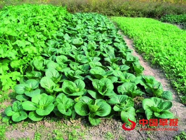 1641658704142614.jpg 555.jpg