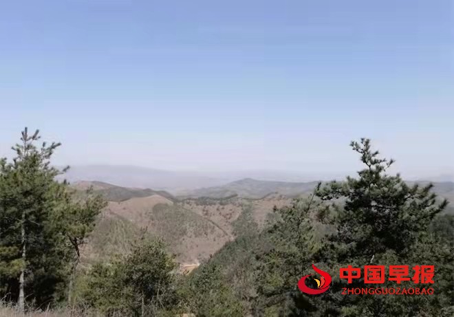 1644749867467535.jpg 1644749867467535.jpg