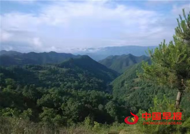 1644750073126639.jpg 1644750073126639.jpg