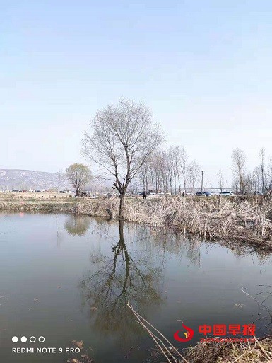 1646804307747979.jpg 1646804307747979.jpg