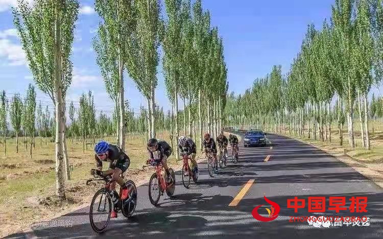 1647133115503074.jpg 图片04.jpg