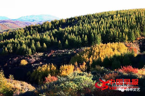 1647133230196693.jpg 图片05.jpg