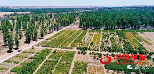 1647133296761797.jpg 图片06.jpg