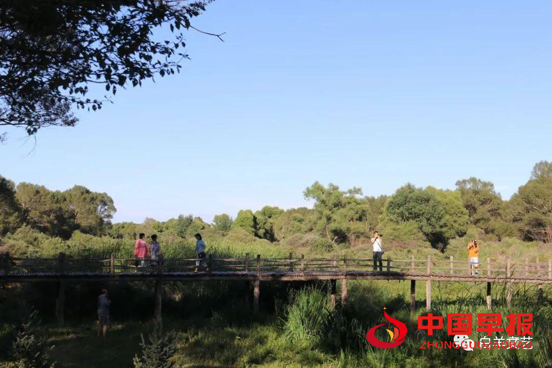 1647133364140388.png 图片07.png