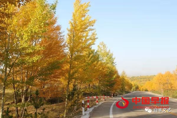 1647133647128751.jpg 图片08.jpg