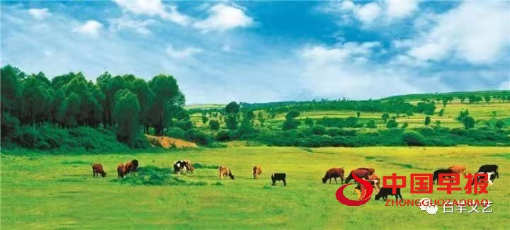 1647133740102971.jpg 图片010.jpg