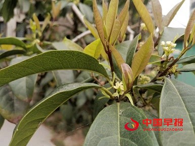 1647398662290191.jpg 微信图片_20220316101154.jpg