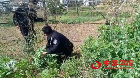 1648722086165852.jpg 微信图片_20220331175537.jpg