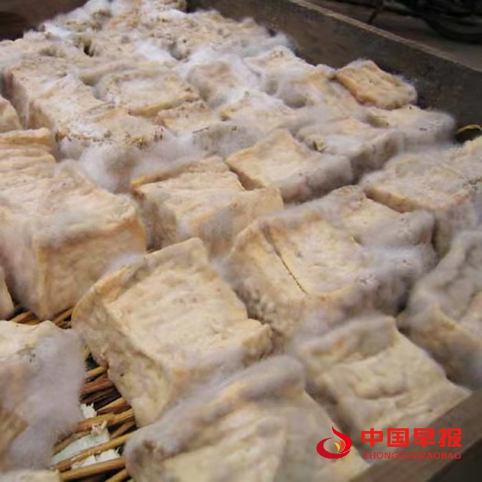 1649233169108429.jpg 1649233169108429.jpg