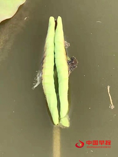 1649416303894520.jpg 微信图片_20220408192839.jpg