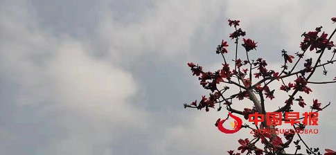 1649496552563102.jpg 微信图片_20220409170152.jpg